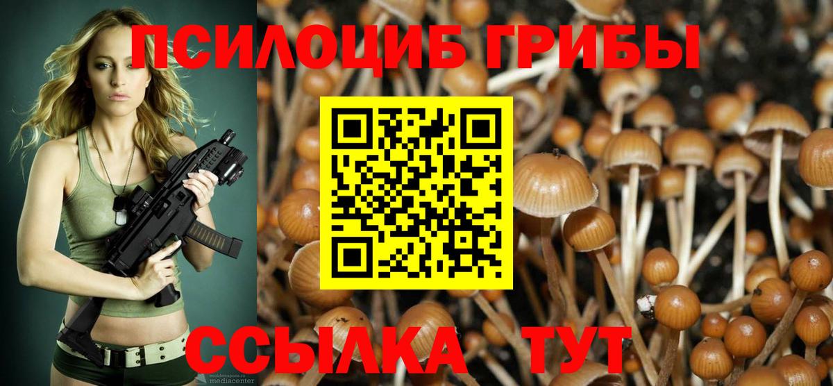 Псилоцибиновые грибы Cubensis  Вход с VPN  Назарово 